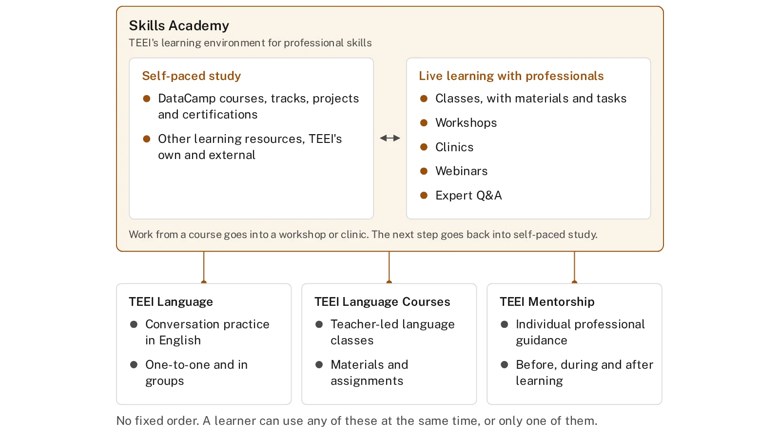 Diagram of where DataCamp sits in TEEI's learning environment. Self-paced study on DataCamp and other resources, and live learning with professionals, share the Skills Academy panel. TEEI Language, TEEI Language Courses and TEEI Mentorship sit alongside, in no fixed order.