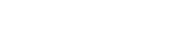 TEEI Logo